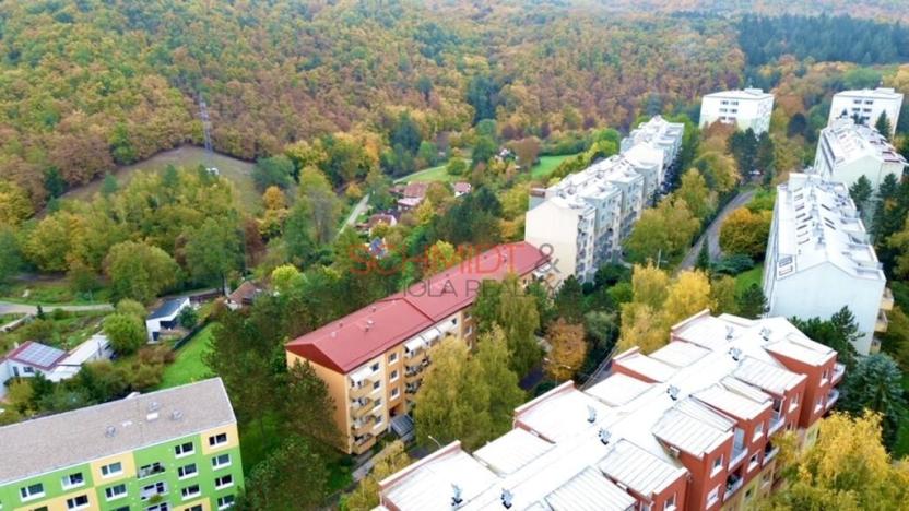 Prodej bytu 2+1, Brno, Černého, 58 m2