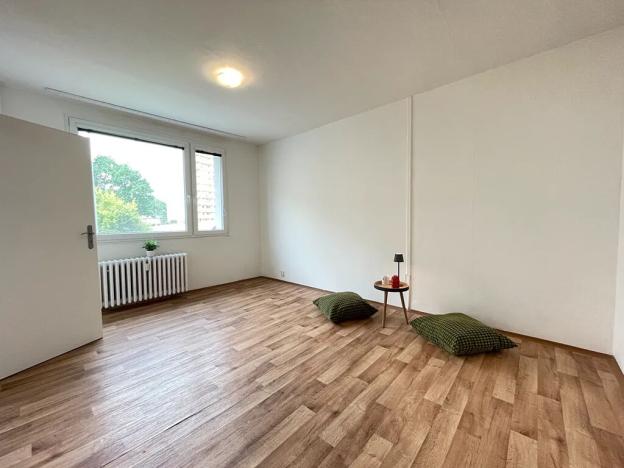Pronájem bytu 1+1, Litvínov, Rooseveltova, 37 m2