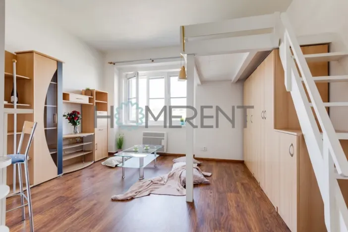 Pronájem bytu 1+kk, Praha - Nusle, Bartoškova, 30 m2