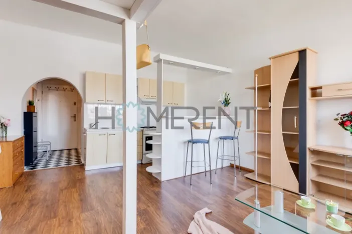 Pronájem bytu 1+kk, Praha - Nusle, Bartoškova, 30 m2