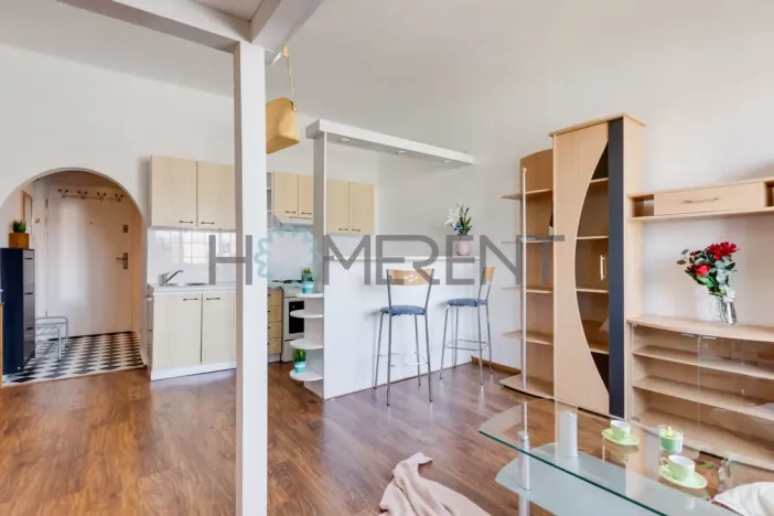 Pronájem bytu 1+kk, Praha - Nusle, Bartoškova, 30 m2