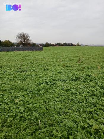 Prodej pozemku pro bydlení, Vřesina, Hradčanská, 1000 m2