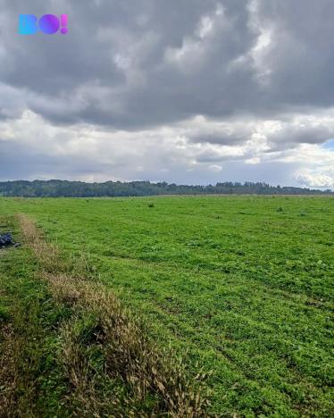 Prodej pozemku pro bydlení, Vřesina, Hradčanská, 1000 m2