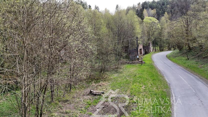 Prodej komerčního pozemku, Rejštejn, 38182 m2