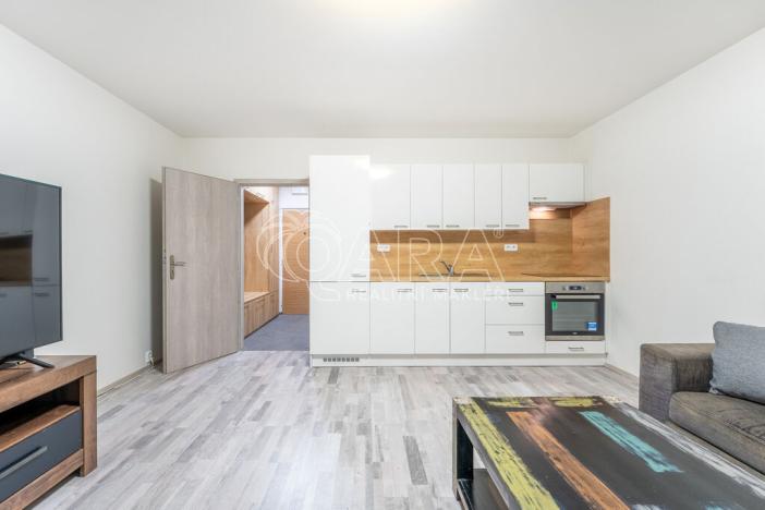 Pronájem bytu 1+kk, Brno - Líšeň, Ševelova, 30 m2