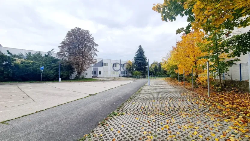 Pronájem obchodního prostoru, Praha, Za Mototechnou, 2799 m2