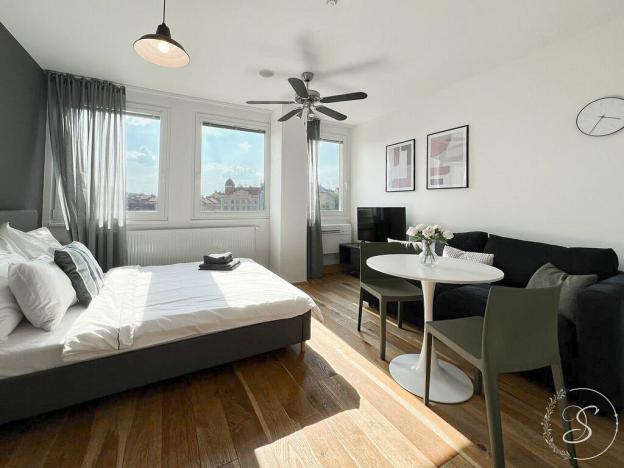 Pronájem bytu 1+kk, Praha - Vinohrady, Perucká, 27 m2