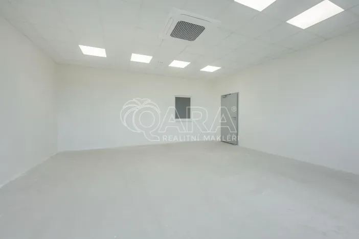 Pronájem skladu, Divišov, 2922 m2