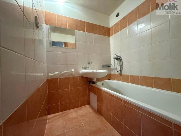 Pronájem bytu 3+1, Most, Jana Kubelíka, 55 m2