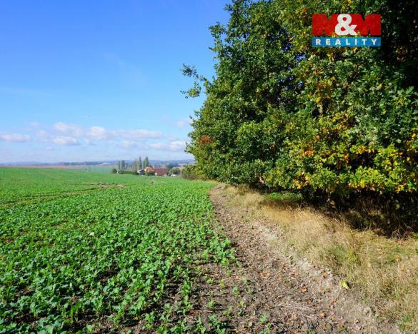 Prodej pozemku pro bydlení, Třebeň, 3689 m2