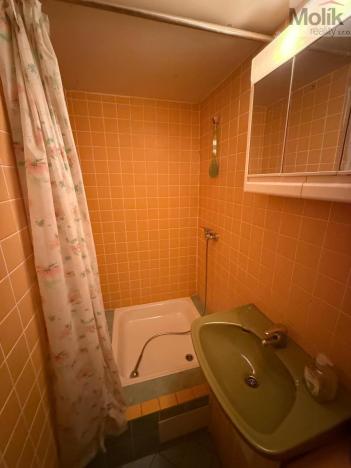 Prodej chaty, Klášterec nad Ohří - Miřetice u Klášterce nad Ohří, Mariánské údolí, 78 m2