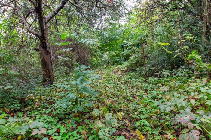 Prodej zahrady, Praha, 644 m2