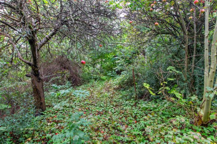 Prodej zahrady, Praha, 644 m2