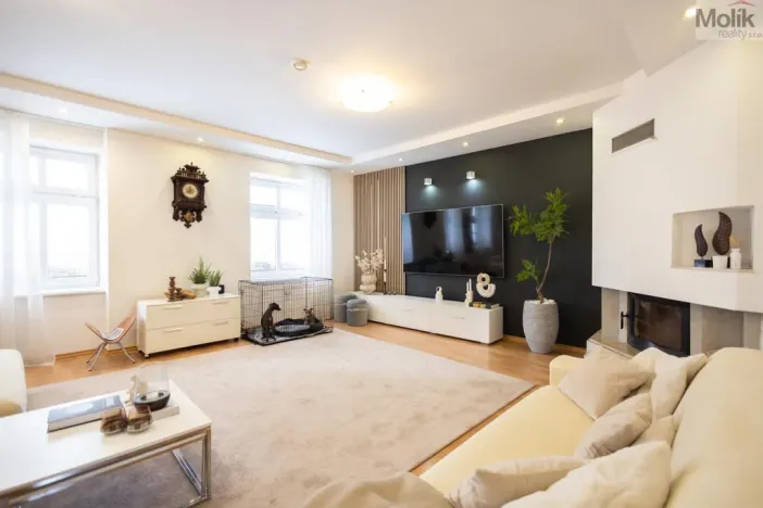 Prodej obchodního prostoru, Litvínov - Horní Litvínov, Rooseveltova, 277 m2