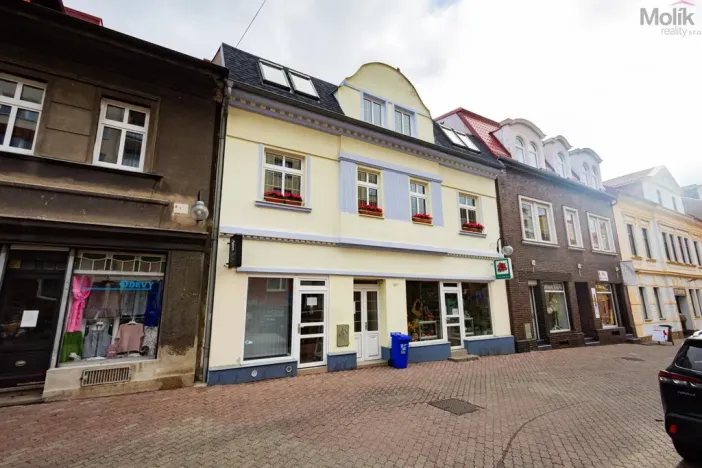 Prodej obchodního prostoru, Litvínov - Horní Litvínov, Rooseveltova, 277 m2