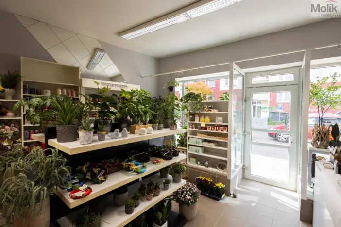 Prodej obchodního prostoru, Litvínov - Horní Litvínov, Rooseveltova, 277 m2