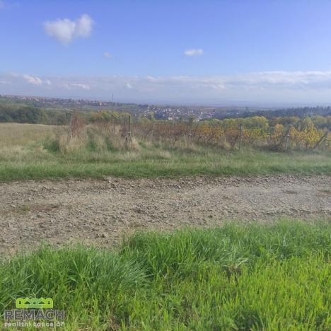 Prodej pozemku, Ořechov, 4846 m2