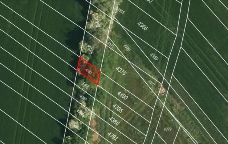 Dražba pozemku, Šaratice, 6562 m2