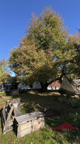 Prodej rodinného domu, Strašín - Maleč, 200 m2