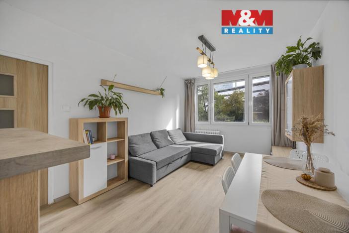 Prodej bytu 2+kk, Praha - Nusle, Plamínkové, 40 m2