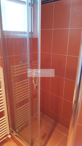 Pronájem bytu 4+1, Praha, Na Březince, 120 m2