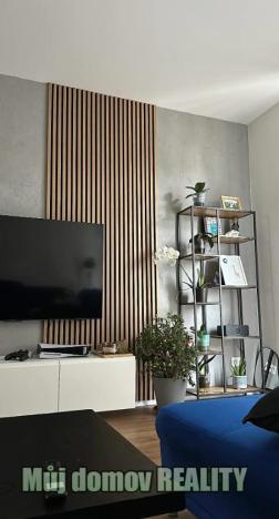 Pronájem rodinného domu, Praha - Hostivař, Hornoměcholupská, 230 m2