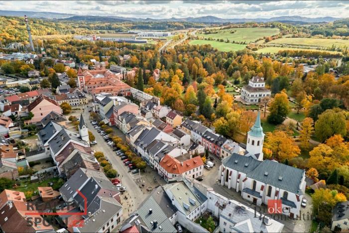 Prodej rodinného domu, Ostrov, Žižkova, 100 m2