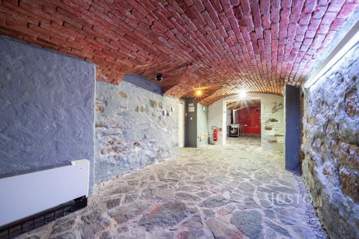 Prodej obchodního prostoru, České Budějovice - České Budějovice 1, nám. Přemysla Otakara II., 301 m2