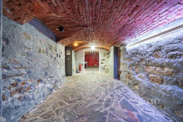 Prodej obchodního prostoru, České Budějovice - České Budějovice 1, nám. Přemysla Otakara II., 301 m2