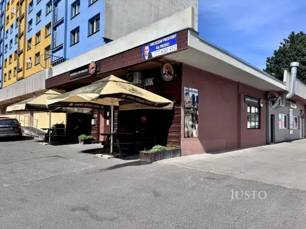 Prodej obchodního prostoru, Ústí nad Labem, Pod Parkem, 82 m2