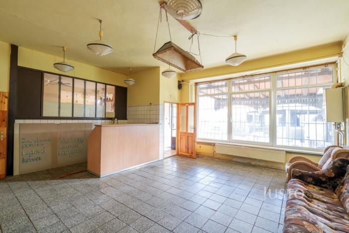 Prodej komerční nemovitosti, Třebíz, 192 m2