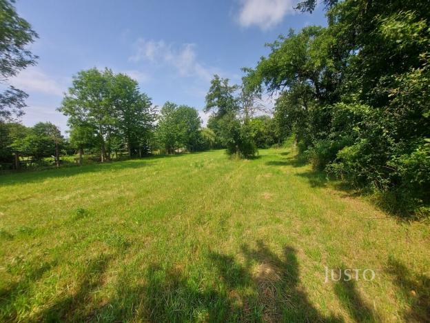 Prodej pozemku pro bydlení, Dražíč, 2918 m2