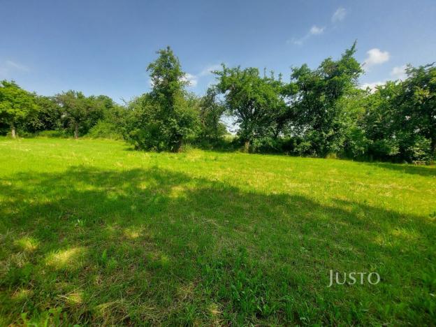 Prodej pozemku pro bydlení, Dražíč, 2918 m2