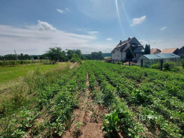 Prodej pozemku pro bydlení, Dražíč, 2918 m2
