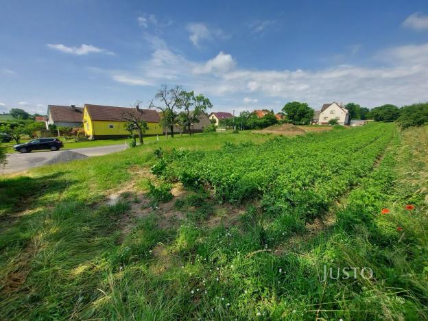 Prodej pozemku pro bydlení, Dražíč, 2918 m2