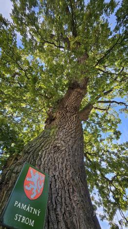 Prodej rodinného domu, Kostelec nad Vltavou - Přílepov, 243 m2