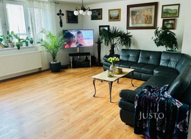 Prodej rodinného domu, Písek, Na Pakšovce, 284 m2