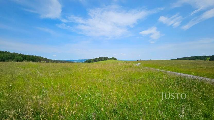 Prodej pozemku pro bydlení, Dobev - Velké Nepodřice, 8980 m2