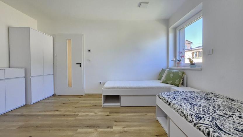 Prodej rodinného domu, Písek, Nová, 276 m2