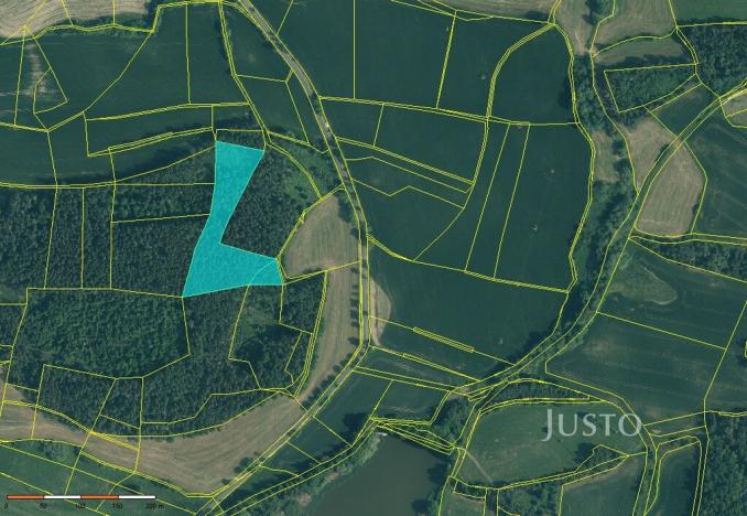 Prodej lesa, Horažďovice - Veřechov, 11833 m2