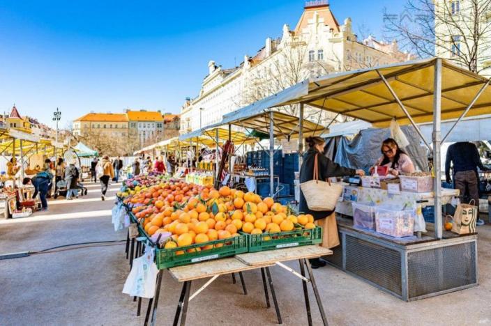 Pronájem bytu 4+kk, Praha - Vinohrady, Slavíkova, 85 m2
