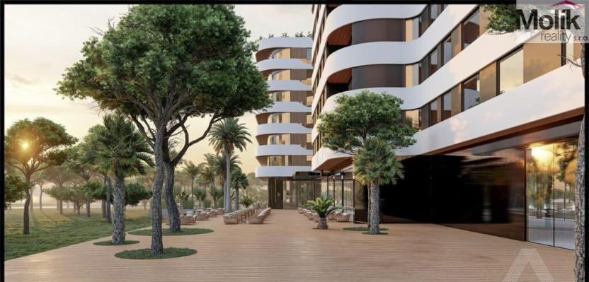 Prodej bytu 2+kk, Golem, 80 m2