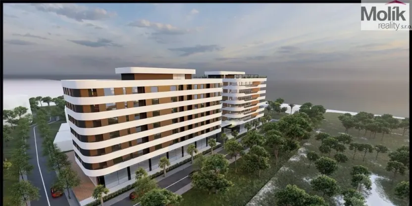 Prodej bytu 2+kk, Golem, 80 m2