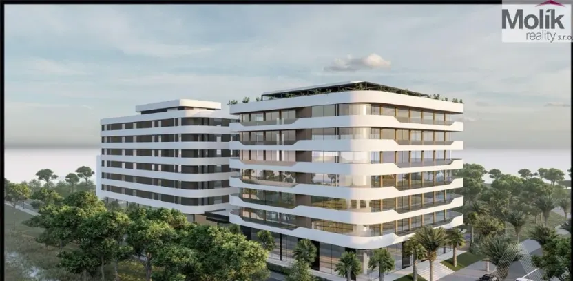 Prodej bytu 2+kk, Golem, 93 m2