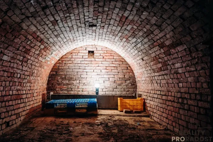 Prodej vinného sklepa, Mikulčice, 65 m2