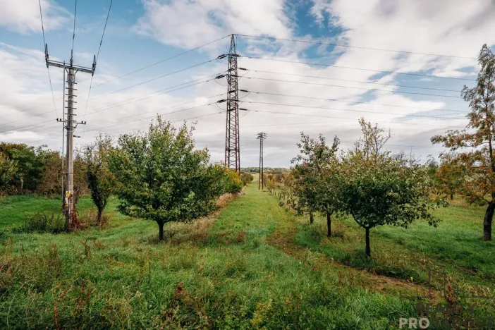 Prodej vinného sklepa, Mikulčice, 65 m2