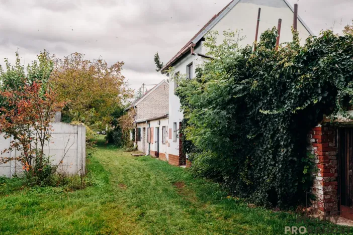 Prodej vinného sklepa, Mikulčice, 65 m2