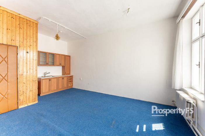 Prodej bytu 6+kk a větší, Ostrava - Mariánské Hory, 28. října, 256 m2