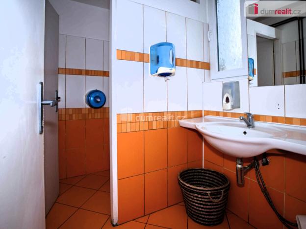 Prodej komerční nemovitosti, Doksy, Komenského, 254 m2