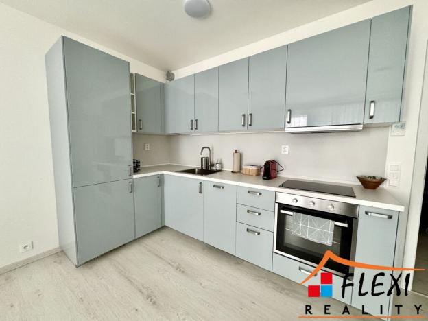 Pronájem bytu 1+kk, Ostrava, F. X. Riepla, 40 m2